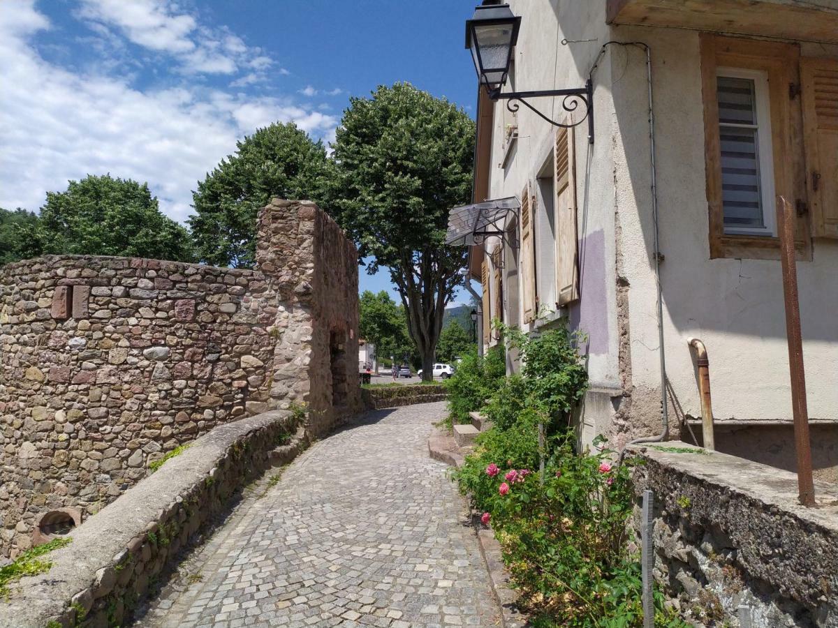 La Grande Terrine - Gites Les Potiers Kaysersberg-Vignoble Exterior foto