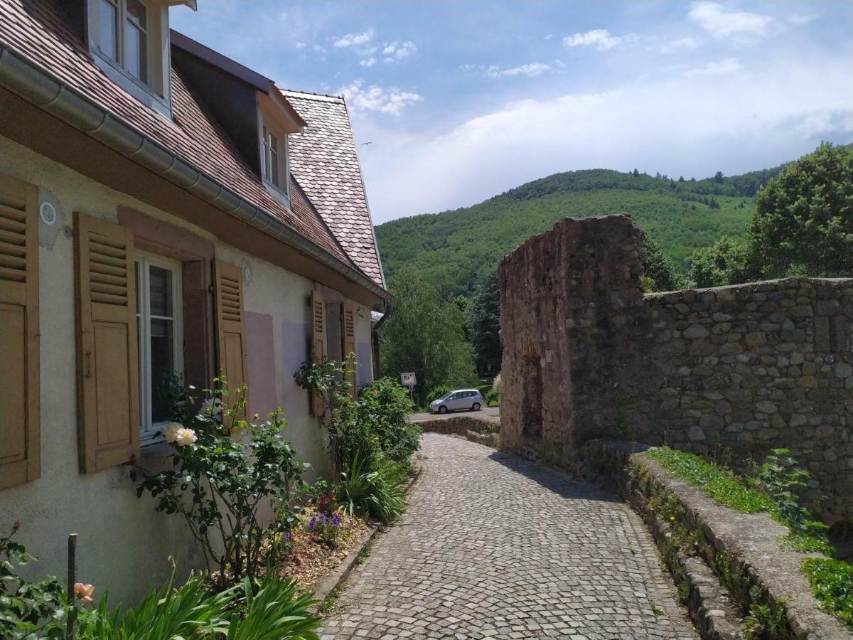 La Grande Terrine - Gites Les Potiers Kaysersberg-Vignoble Exterior foto